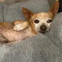 Thumbnail photo of Carl 5870 #1