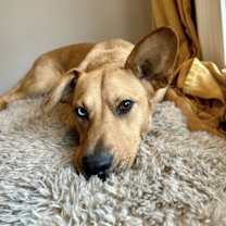 Thumbnail photo of Piper Lizman #1