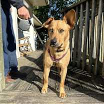 Thumbnail photo of Piper Lizman #2