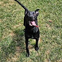 Thumbnail photo of Turbo #2