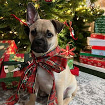 Thumbnail photo of Muck #1