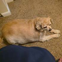 Thumbnail photo of Angel #1