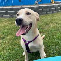 Thumbnail photo of Heidi #3