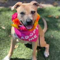 Thumbnail photo of Kendra #1