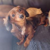 Thumbnail photo of Timmy #3