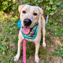 Thumbnail photo of Peanut Butter Baby #4