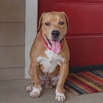 Thumbnail photo of King #3