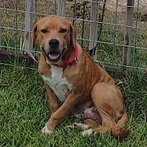 Thumbnail photo of King #1