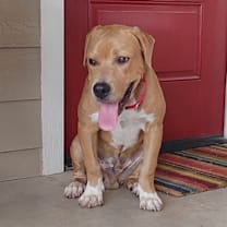 Thumbnail photo of King #4