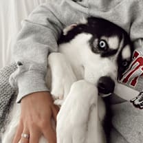 Thumbnail photo of Jaxx #4