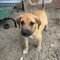 Thumbnail photo of Bingley  #3