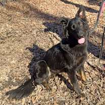 Thumbnail photo of Retta(Rooter) #1