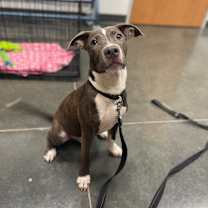 Thumbnail photo of Aaron #1