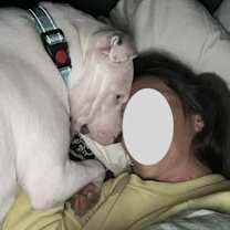 Thumbnail photo of Miss Chippy #4