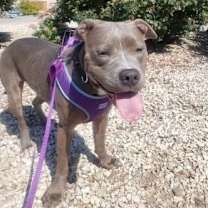 Thumbnail photo of Journey #1