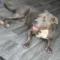 Thumbnail photo of Journey #2