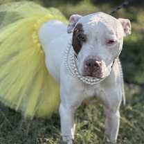 Thumbnail photo of Kate Hudson #2