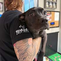 Thumbnail photo of Griff Graff #2