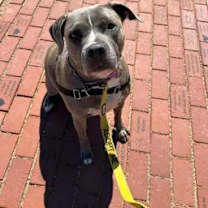 Thumbnail photo of Priscilla #1