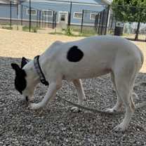 Thumbnail photo of Arya #3