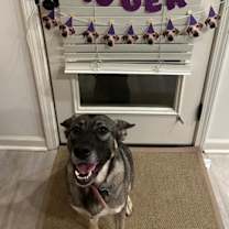 Thumbnail photo of Violet #2