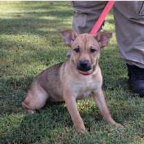 Thumbnail photo of Leala ~ meet me! #2