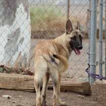 Thumbnail photo of Casper #1