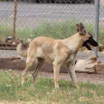 Thumbnail photo of Casper #2