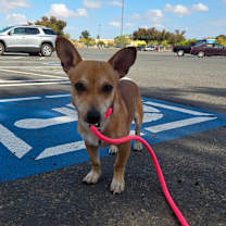 Thumbnail photo of ITTY BITTY #4