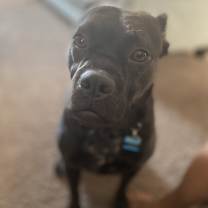 Thumbnail photo of Cash #1