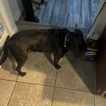 Thumbnail photo of Cash #3