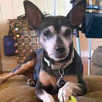 Thumbnail photo of Belle #3