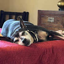 Thumbnail photo of Belle #4