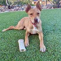 Thumbnail photo of Amaya #3