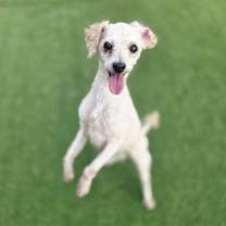 Thumbnail photo of Tommy #3