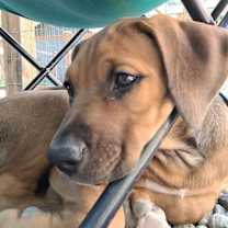 Thumbnail photo of Patty #3