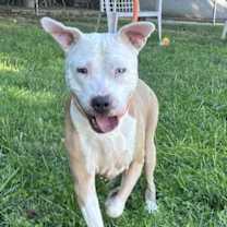 Thumbnail photo of Nancy #1