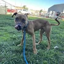 Thumbnail photo of Drake #3