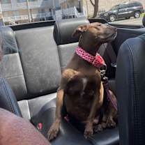 Thumbnail photo of Snooks #2