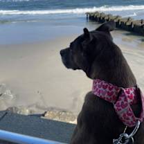 Thumbnail photo of Snooks #4