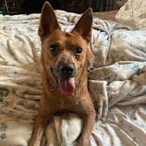 Thumbnail photo of Nisi #2