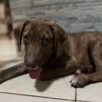 Thumbnail photo of Simon #4