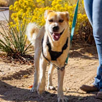 Thumbnail photo of Sid #1