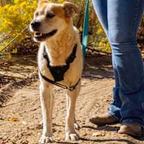 Thumbnail photo of Sid #2