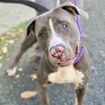 Thumbnail photo of Damon #2