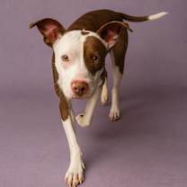 Thumbnail photo of Oatmeal #3