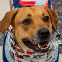 Thumbnail photo of Peaches #1