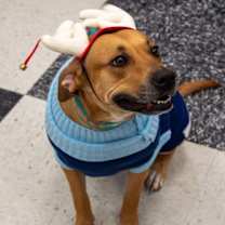 Thumbnail photo of Peaches #2