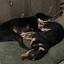 Thumbnail photo of Houston #3