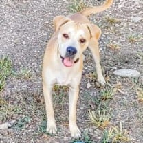 Thumbnail photo of Breaker #1